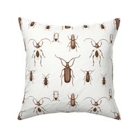 Chocolate Bugs Toile