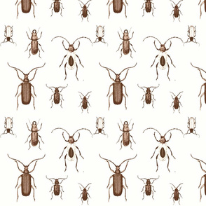 Chocolate Bugs Toile