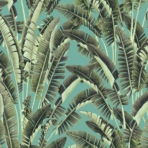 mediuml palm springs tropical on light teal