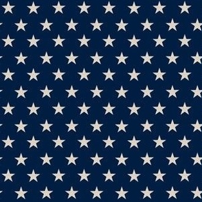 American Navy Blue Stars