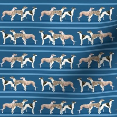 Custom Three Small Scale Whippets on a Blue Stripe