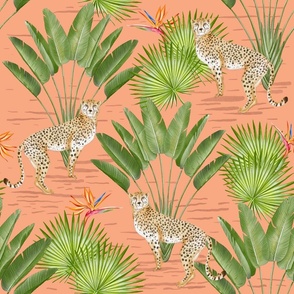 cheetah in jungle | orange