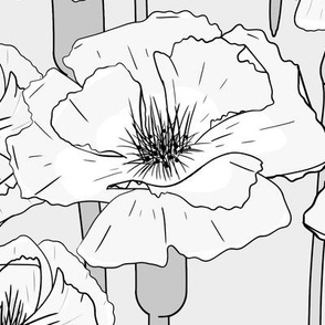 Large Scale Poppies in Greyscale