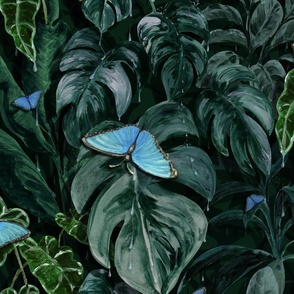 Blue Morpho Tropical Rainforest
