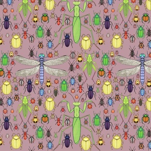 insect assortment on mauve, beetles, dragonfly, praying mantis