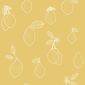 (medium) Lemons - Cream lemons on yellow background