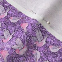 Lilac and pink birds in pine trees with berries