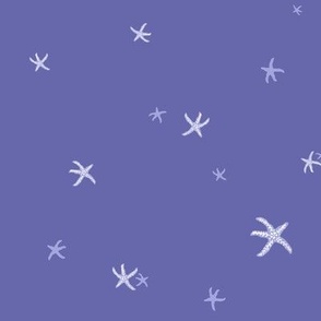 Periwinkle Sea Stars - blender with starfish