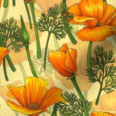 California poppies on yellow