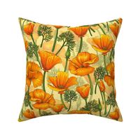 California poppies on yellow