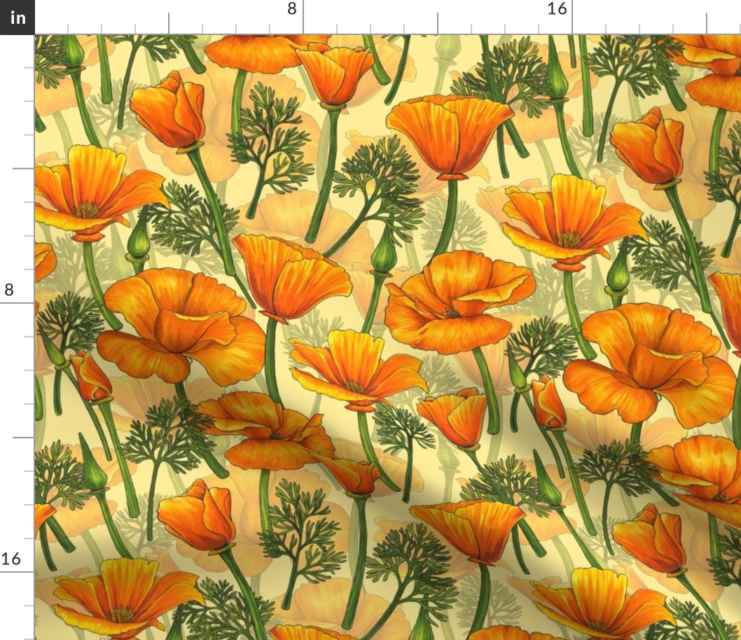 California poppies on yellow