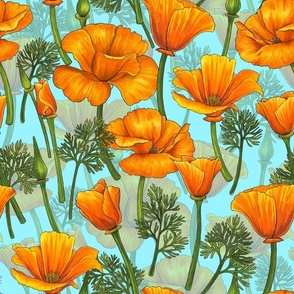 California poppies on light turquoise blue