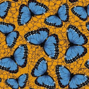 Blue morpho butterflies on marigold orange