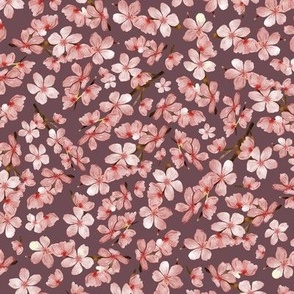 Kirschblüten mit lila Hintergrund