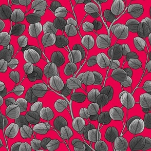 Eucalyptus on red