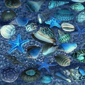 coquillages et étoiles de mer disposés sur fond de sable en bleu nuit