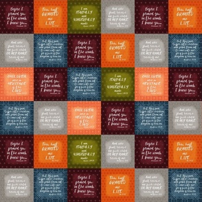 3 inch squares Bible verse baby cheater quilt