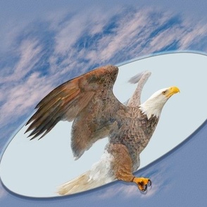 12x10-Inch Repeat of Trompe-l’Oeil Eagle Flying Free
