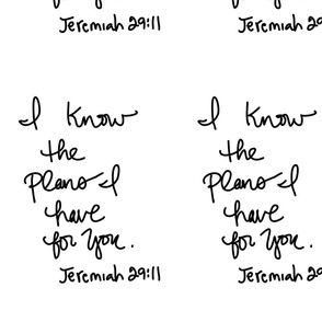 Jeremiah 29-11 