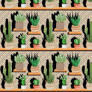 Cactus Shelves - Trompe loeil