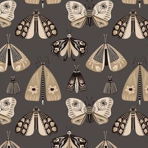 Dusty gray bohemian night moths