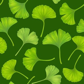 Ginkgo leaves