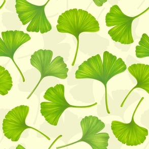 Ginkgo leaves on off white