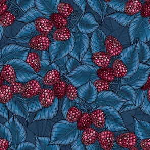 Raspberries on blue