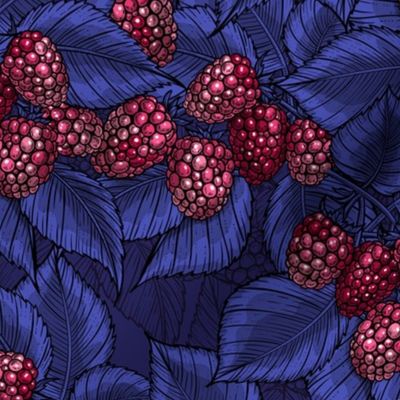 Raspberries on blue-violet