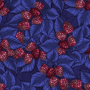 Raspberries on blue-violet