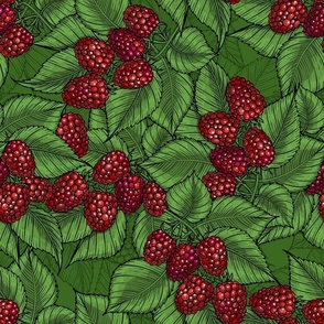 Raspberries on green