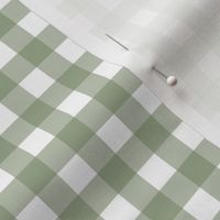 Gingham check - Sage Green and white - Sage Petal Solid Coordinate