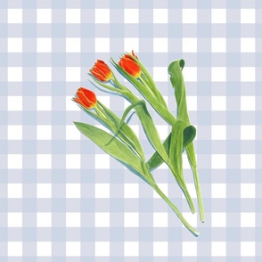 Red Tulips Trompe L'oeil with pale blue fog gingham  - Fog Petal Solid Coordinate