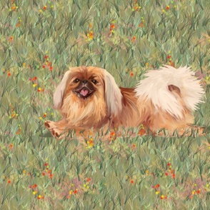 Happy Pekingese in Wildflower Field for Pillow