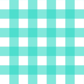 2" Light Teal Gingham - Medium (Pastel Easter Collection)