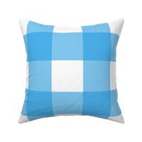 4" Light Blue Gingham - Large (Pastel Easter Collection)