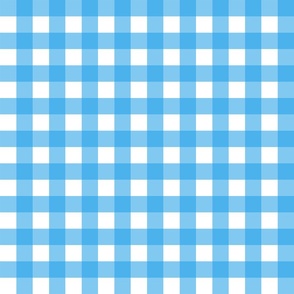 1" Light Blue Gingham - Small (Pastel Easter Collection)