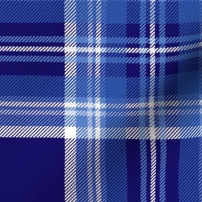 Antique Royal Stewart Tartan ~ Faux Woven ~ Buckler's Hard Blue and White ~ Large