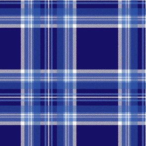 Antique Royal Stewart Tartan ~ Faux Woven ~ Buckler's Hard Blue and White ~ Large