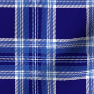 Antique Royal Stewart Tartan ~ Faux Woven ~ Buckler's Hard Blue and White ~ Small