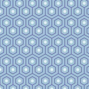 Meandering Hexagon-Very Peri
