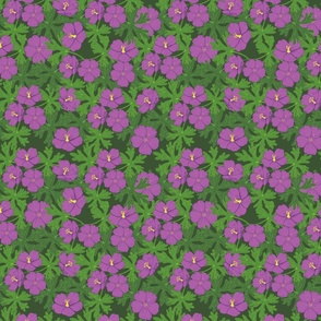 bloody geranium pattern