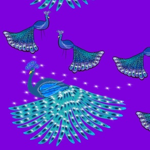 Peacock Dance Design