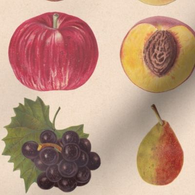 Vintage Fruit Assortment