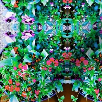Fantasy Floral Knot Garden (#2)