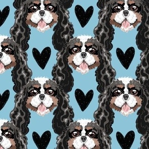 Cavalier King Charles Black Hearts