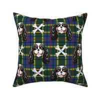 Cavalier King Charles Spaniel Tartan Green