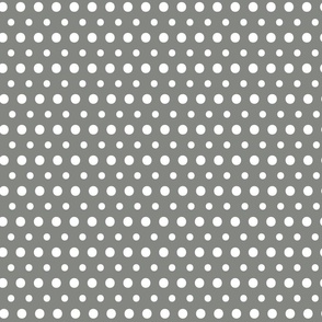 Polka dots on Pewter #848681