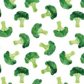 Broccoli - watercolor - vegetable - LAD21