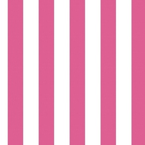 Flamingo Pink Stripe 2" 